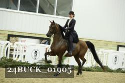 24BUCK_01905 thumbnail
