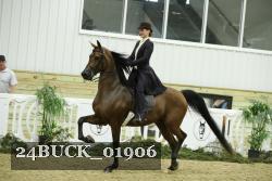 24BUCK_01906 thumbnail