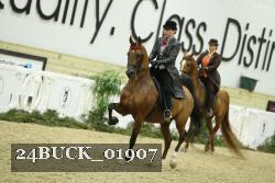 24BUCK_01907 thumbnail
