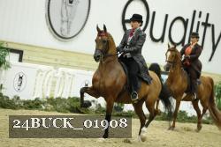 24BUCK_01908 thumbnail