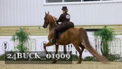 24BUCK_01909 thumbnail