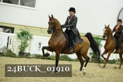 24BUCK_01910 thumbnail