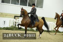24BUCK_01911 thumbnail