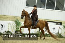 24BUCK_01912 thumbnail