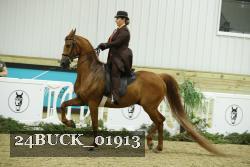 24BUCK_01913 thumbnail