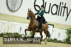 24BUCK_01914 thumbnail