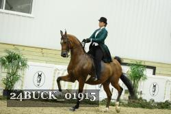 24BUCK_01915 thumbnail
