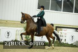 24BUCK_01916 thumbnail