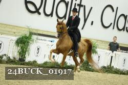 24BUCK_01917 thumbnail