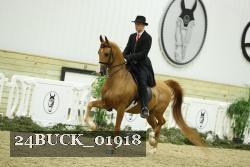 24BUCK_01918 thumbnail
