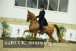 24BUCK_01919 thumbnail