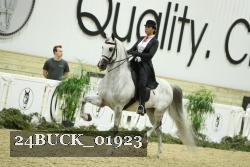 24BUCK_01923 thumbnail