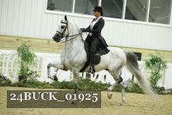 24BUCK_01925 thumbnail