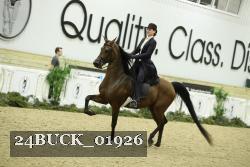 24BUCK_01926 thumbnail