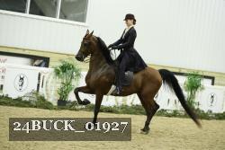 24BUCK_01927 thumbnail
