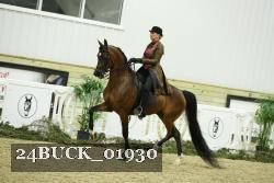 24BUCK_01930 thumbnail