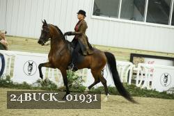 24BUCK_01931 thumbnail