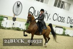24BUCK_01932 thumbnail