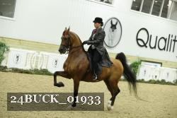 24BUCK_01933 thumbnail