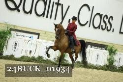 24BUCK_01934 thumbnail