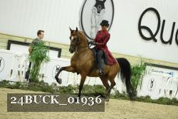 24BUCK_01936 thumbnail