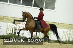 24BUCK_01938 thumbnail