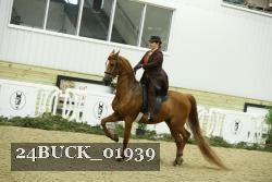24BUCK_01939 thumbnail