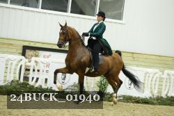 24BUCK_01940 thumbnail