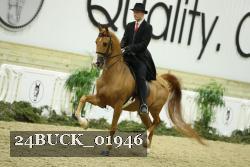 24BUCK_01946 thumbnail