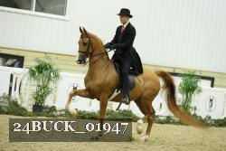 24BUCK_01947 thumbnail