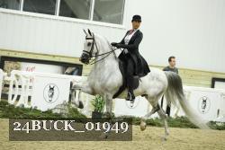 24BUCK_01949 thumbnail