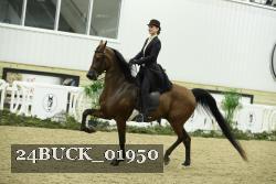 24BUCK_01950 thumbnail