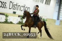 24BUCK_01953 thumbnail