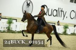 24BUCK_01954 thumbnail