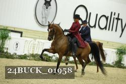24BUCK_01958 thumbnail