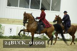 24BUCK_01960 thumbnail