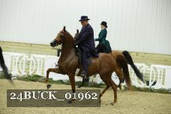 24BUCK_01962 thumbnail