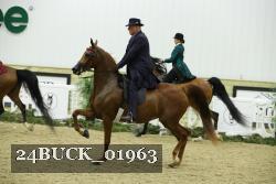 24BUCK_01963 thumbnail