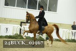 24BUCK_01967 thumbnail