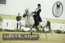 24BUCK_01968 thumbnail
