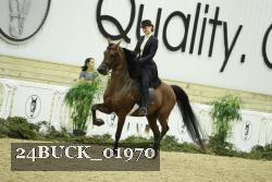 24BUCK_01970 thumbnail