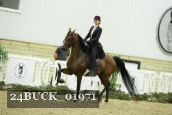 24BUCK_01971 thumbnail