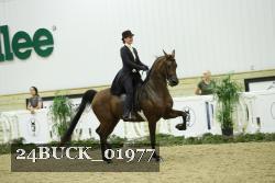 24BUCK_01977 thumbnail