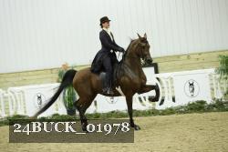 24BUCK_01978 thumbnail