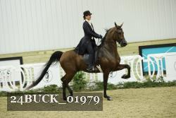24BUCK_01979 thumbnail