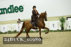 24BUCK_01980 thumbnail