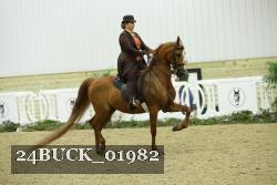 24BUCK_01982 thumbnail