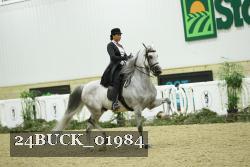 24BUCK_01984 thumbnail