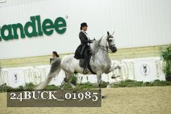 24BUCK_01985 thumbnail