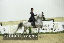 24BUCK_01986 thumbnail